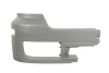 Кутова частина бампера Прав MERCEDES ACTROS, ACTROS MP2 / MP3, ACTROS MP4 / MP5 04.96- MER-FSB-002R PACOL MERFSB002R (фото 1)