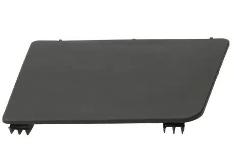 Підніжка кабіни водія RVI-SP-024L PACOL RVISP024L