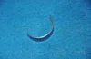 Вкладиші к-кт-CRANK U/S(0.25) TICO (вир-во PMC-ESSENCE) PARTS-MALL HCJC-043A (фото 4)