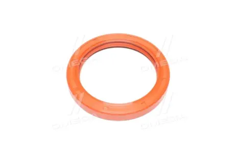 Сальник двигуна REAR FORD 77X100X11.5 FPM B1BAVISLRSX7 Payen NB469