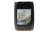 Олива 5W30 SYNTIUM 5000 DM (20L) (MB 229.51/MB 229.52/VW 505.00/505.01/LL-04/RN0700/RN0710) PETRONAS Petronas 70957R41EU (фото 1)