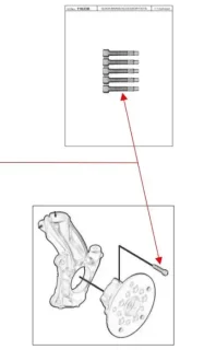 Комплект болтів маточини колеса Ford Transit Custom V363/Transit V 12- (К-кт 5 шт) QUICK BRAKE 11633K