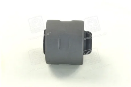 Сайлентблок рычага RBI N24P11W0