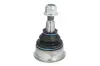 Шарова опора Лів/Прав (нижн передн) CHRYSLER GRAND VOYAGER V, TOWN & COUNTRY, VOYAGER V DODGE GRAND 2.8D-4.0 10.07- RH03-6003 REINHOCH RH036003 (фото 1)