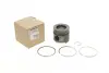 Поршень RENAULT 12 0A 134 19R (фото 1)
