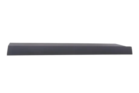 Молдинг дверей (передніх/R) Renault Duster III 25- RENAULT 808200915R