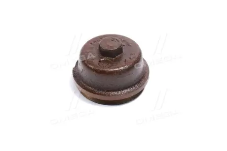 Ковпак (кришка) маточини Еталон, ТАТА Е1-Е3 передньої RIDER RD-264133403704