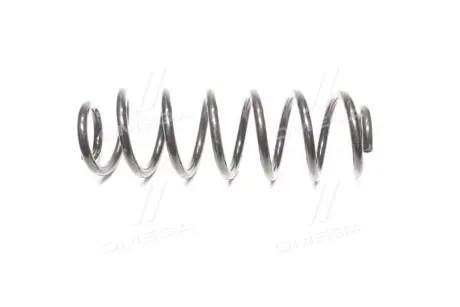 Пружина підв. VW Passat 05-10 задн. RIDER RD.28110069