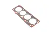 Прокладка ГБЦ CHERY AMULET RIDER RD.4801003080 (фото 1)