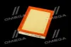 ФІЛЬТР ПОВІТРЯНИЙ ExtraClean CHRYSLER RIDER REC130005 (фото 2)