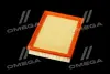 ФІЛЬТР ПОВІТРЯНИЙ ExtraClean CHRYSLER RIDER REC130005 (фото 4)