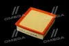 ФІЛЬТР ПОВІТРЯНИЙ ExtraClean OPEL RIDER REC130030 (фото 2)