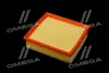 ФІЛЬТР ПОВІТРЯНИЙ ExtraClean OPEL RIDER REC130030 (фото 3)