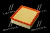 ФІЛЬТР ПОВІТРЯНИЙ ExtraClean OPEL RIDER REC130030 (фото 4)