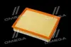 ФИЛЬТР ВОЗДУШНЫЙ ExtraClean OPEL RIDER REC130031 (фото 3)