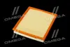 ФИЛЬТР ВОЗДУШНЫЙ ExtraClean OPEL RIDER REC130031 (фото 4)