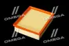 ФІЛЬТР ПОВІТРЯНИЙ ExtraClean RENAULT RIDER REC130092 (фото 4)