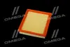 ФІЛЬТР ПОВІТРЯНИЙ ExtraClean TOYOTA RIDER REC130097 (фото 4)