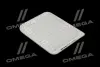 ФІЛЬТР ПОВІТРЯНИЙ ExtraClean MITSUBISHI RIDER REC130165 (фото 1)