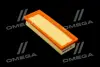 ФИЛЬТР ВОЗДУШНЫЙ ExtraClean FIAT RIDER REC130183 (фото 1)