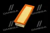 ФИЛЬТР ВОЗДУШНЫЙ ExtraClean FIAT RIDER REC130183 (фото 2)