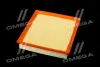 ФІЛЬТР ПОВІТРЯНИЙ ExtraClean FORD RIDER REC130190 (фото 4)
