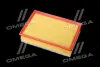 ФІЛЬТР ПОВІТРЯНИЙ ExtraClean OPEL RIDER REC130194 (фото 3)