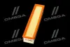 ФИЛЬТР ВОЗДУШНЫЙ ExtraClean DACIA RIDER REC130196 (фото 2)