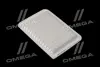 ФІЛЬТР ПОВІТРЯНИЙ ExtraClean TOYOTA RIDER REC130202 (фото 1)