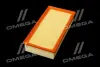 ФИЛЬТР ВОЗДУШНЫЙ ExtraClean FIAT RIDER REC130211 (фото 4)