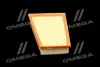 ФІЛЬТР ПОВІТРЯНИЙ ExtraClean RENAULT RIDER REC130220 (фото 2)