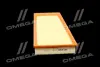 ФІЛЬТР ПОВІТРЯНИЙ ExtraClean RENAULT RIDER REC130220 (фото 4)