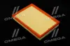 ФІЛЬТР ПОВІТРЯНИЙ ExtraClean OPEL RIDER REC130221 (фото 1)