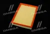 ФІЛЬТР ПОВІТРЯНИЙ ExtraClean OPEL RIDER REC130221 (фото 4)