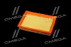 ФИЛЬТР ВОЗДУШНЫЙ ExtraClean FORD RIDER REC130234 (фото 3)