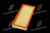 ФІЛЬТР ПОВІТРЯНИЙ ExtraClean VAG RIDER REC130235 (фото 2)