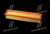 ФІЛЬТР ПОВІТРЯНИЙ ExtraClean DACIA RIDER REC130237 (фото 3)