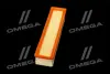 ФІЛЬТР ПОВІТРЯНИЙ ExtraClean DACIA RIDER REC130237 (фото 4)