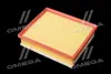 ФІЛЬТР ПОВІТРЯНИЙ ExtraClean OPEL RIDER REC130245 (фото 3)