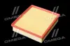 ФІЛЬТР ПОВІТРЯНИЙ ExtraClean OPEL RIDER REC130245 (фото 4)