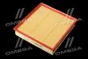 ФІЛЬТР ПОВІТРЯНИЙ ExtraClean OPEL RIDER REC130247 (фото 2)