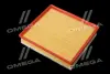 ФІЛЬТР ПОВІТРЯНИЙ ExtraClean OPEL RIDER REC130247 (фото 3)