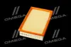 ФІЛЬТР ПОВІТРЯНИЙ ExtraClean FORD RIDER REC130256 (фото 2)
