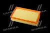 ФІЛЬТР ПОВІТРЯНИЙ ExtraClean FORD RIDER REC130256 (фото 3)