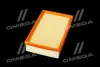 ФІЛЬТР ПОВІТРЯНИЙ ExtraClean FORD RIDER REC130256 (фото 4)