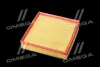 ФІЛЬТР ПОВІТРЯНИЙ ExtraClean OPEL RIDER REC130263 (фото 3)
