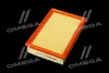 ФІЛЬТР ПОВІТРЯНИЙ ExtraClean FORD RIDER REC130277 (фото 2)