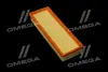 ФИЛЬТР ВОЗДУШНЫЙ ExtraClean CITROEN, PEUGEOT RIDER REC130280 (фото 1)