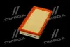 ФІЛЬТР ПОВІТРЯНИЙ ExtraClean FORD RIDER REC130298 (фото 2)