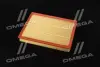 ФИЛЬТР ВОЗДУШНЫЙ ExtraClean OPEL RIDER REC200382 (фото 3)